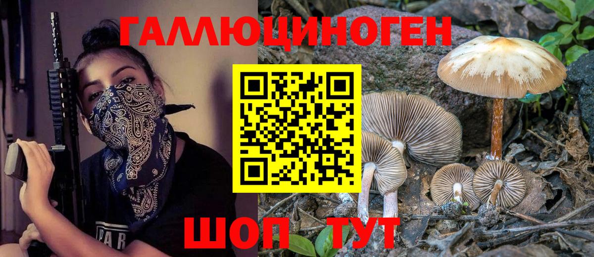 Серпухов  Псилоцибиновые грибы Cubensis  Вход с VPN 