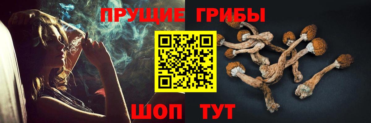 Псилоцибиновые грибы прущие грибы Серпухов